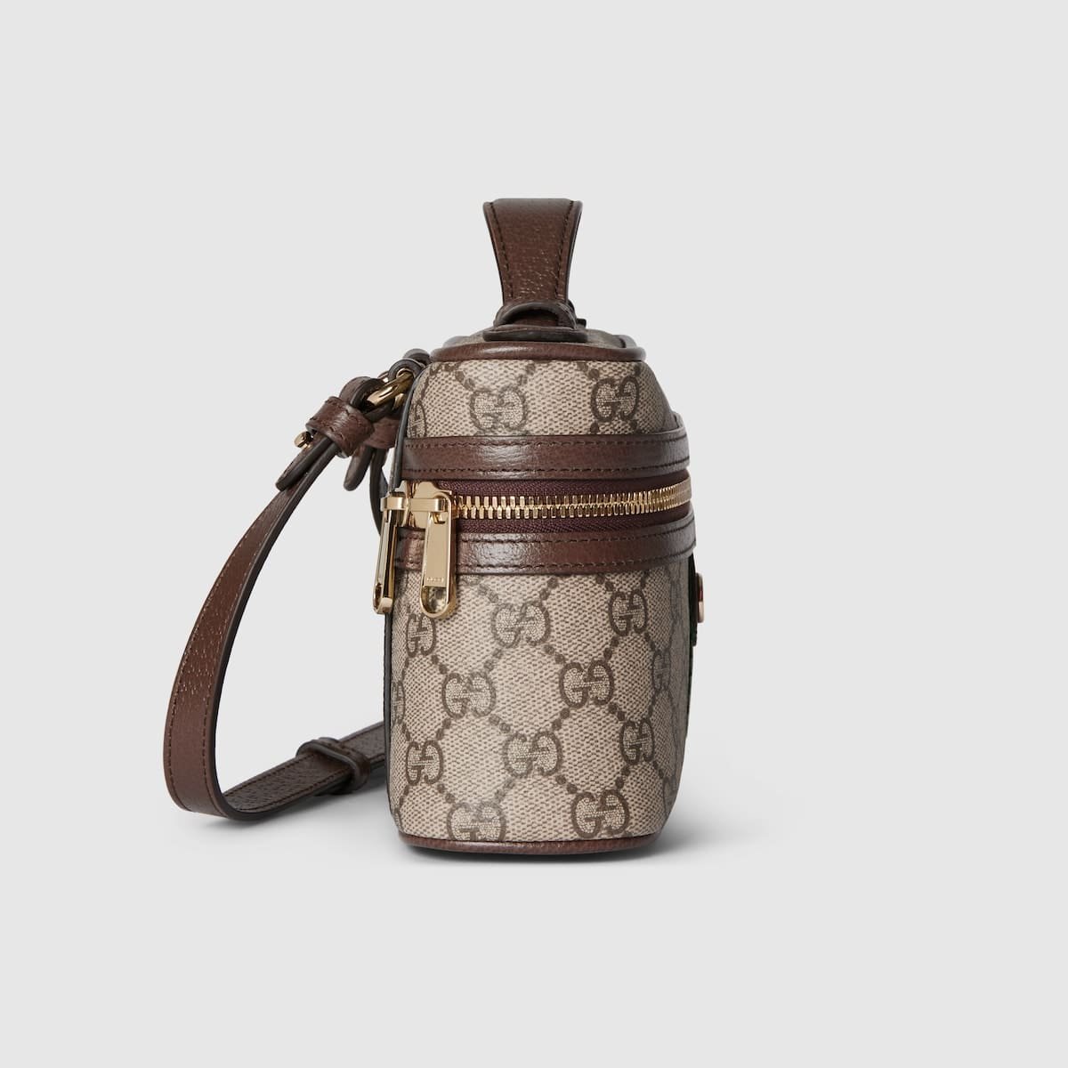 Gvc*1 Ophidia Small Vanity Bag