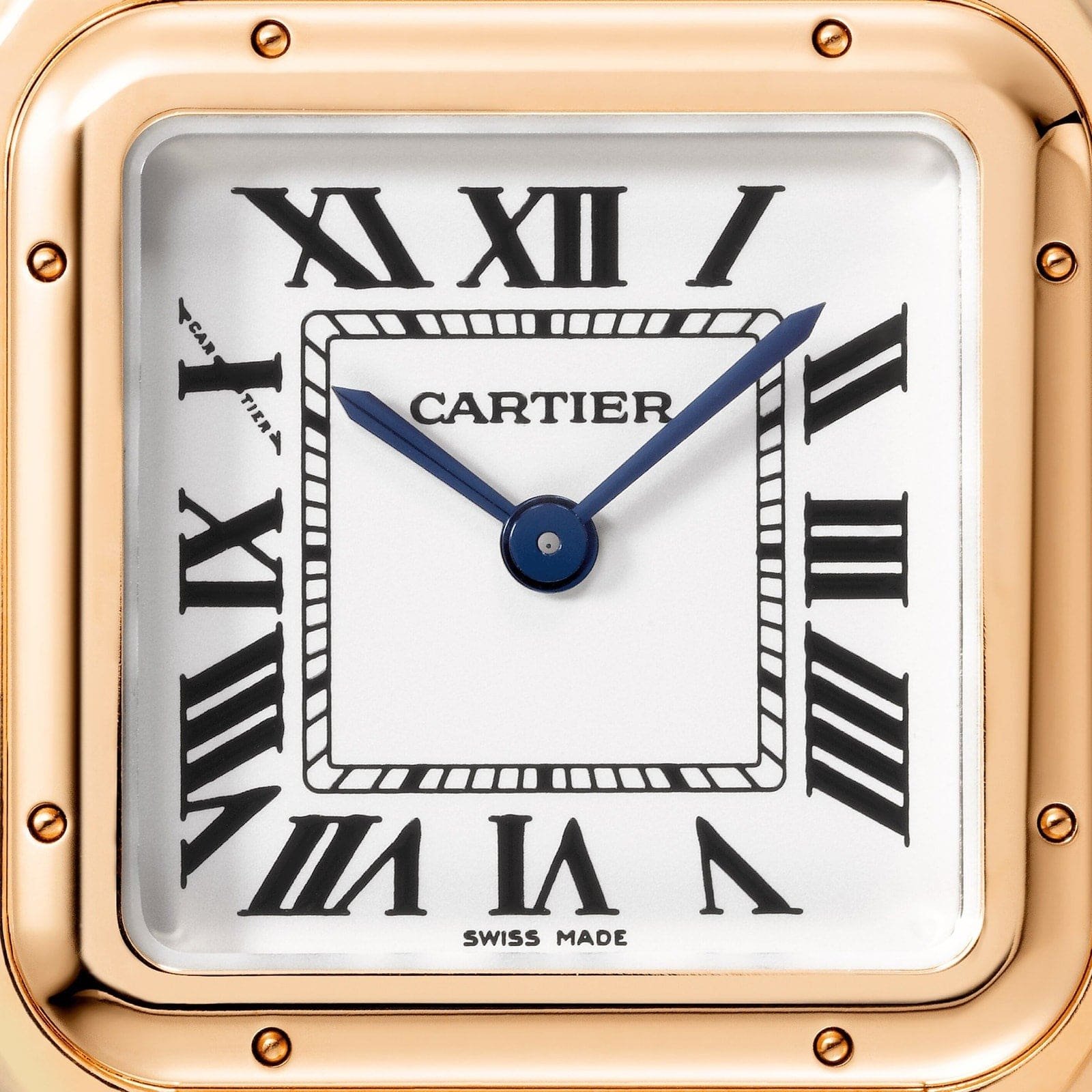 Panthère de Ca*t1er