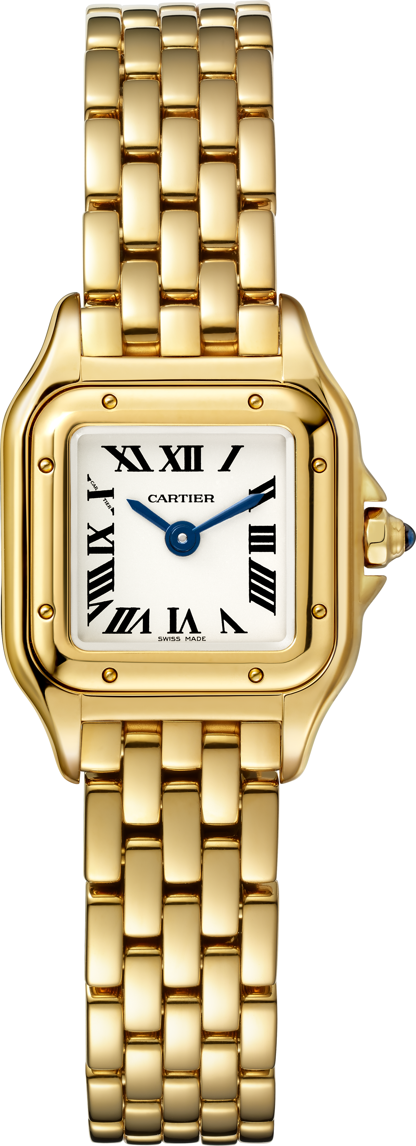 Panthère de Ca*t1er