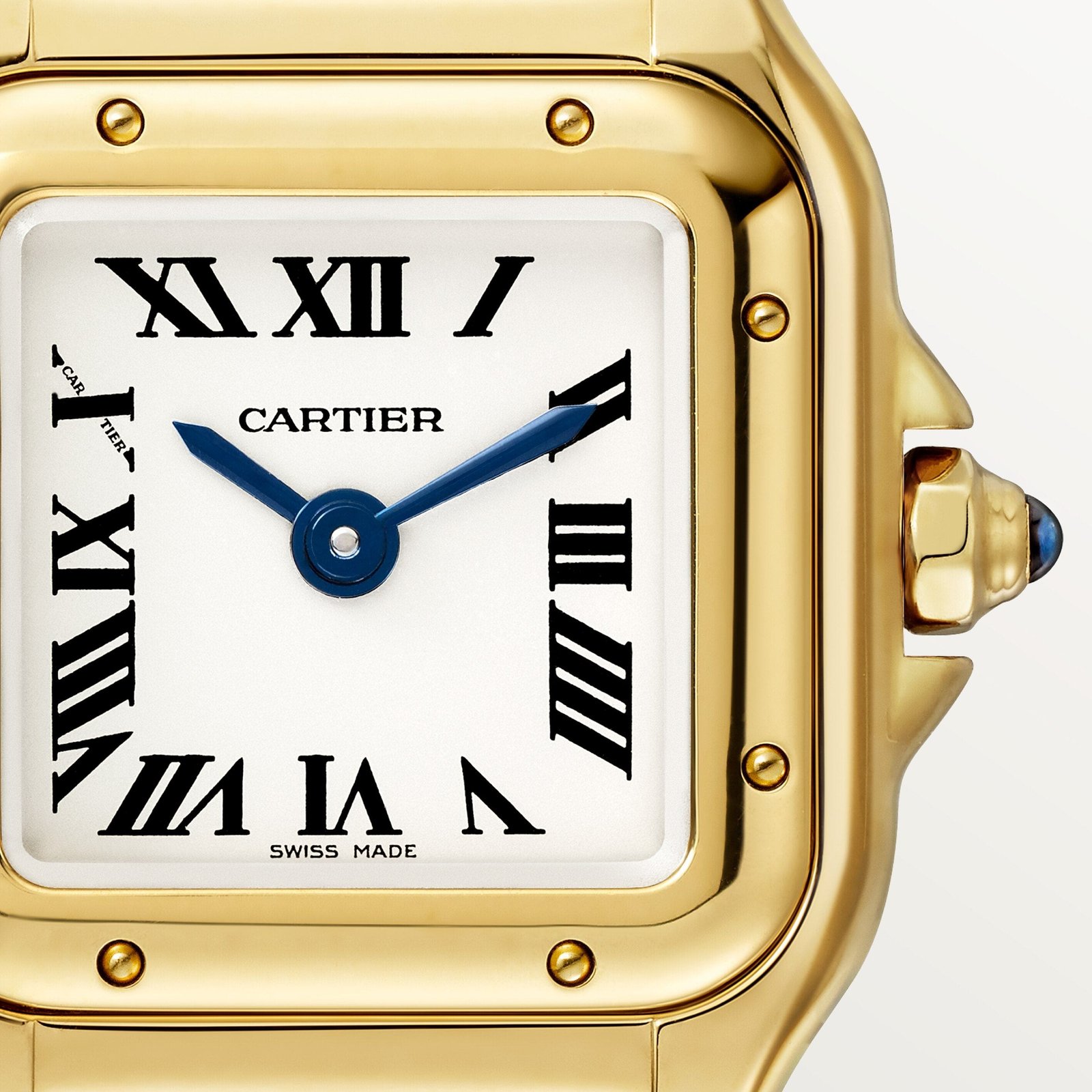 Panthère de Ca*t1er